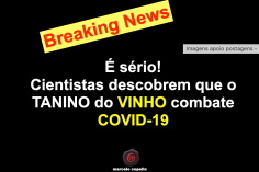 Cientistas descobrem que o TANINO do VINHO combate COVID-19