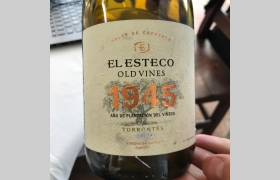 El Esteco Old Vines Torrontés