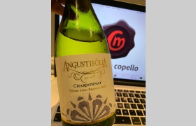 Angustofólia Chardonnay