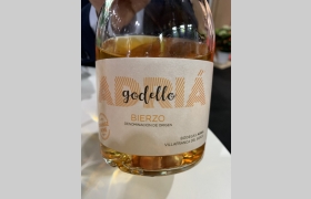 Godello Orange Wine