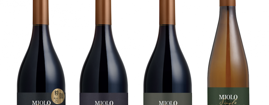 ADRIANO MIOLO apresenta uma nova linha Single Vineyard em degustação no RIO WINE AND FOOD FESTIVAL