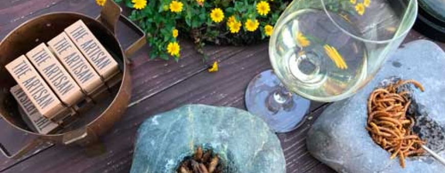 Que tal harmonizar vinho com insetos? 