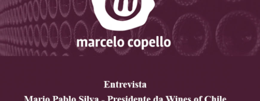 Marcelo Copello entrevista o presidente da Wines of Chile com exclusividade