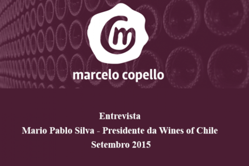 Marcelo Copello entrevista o presidente da Wines of Chile com exclusividade