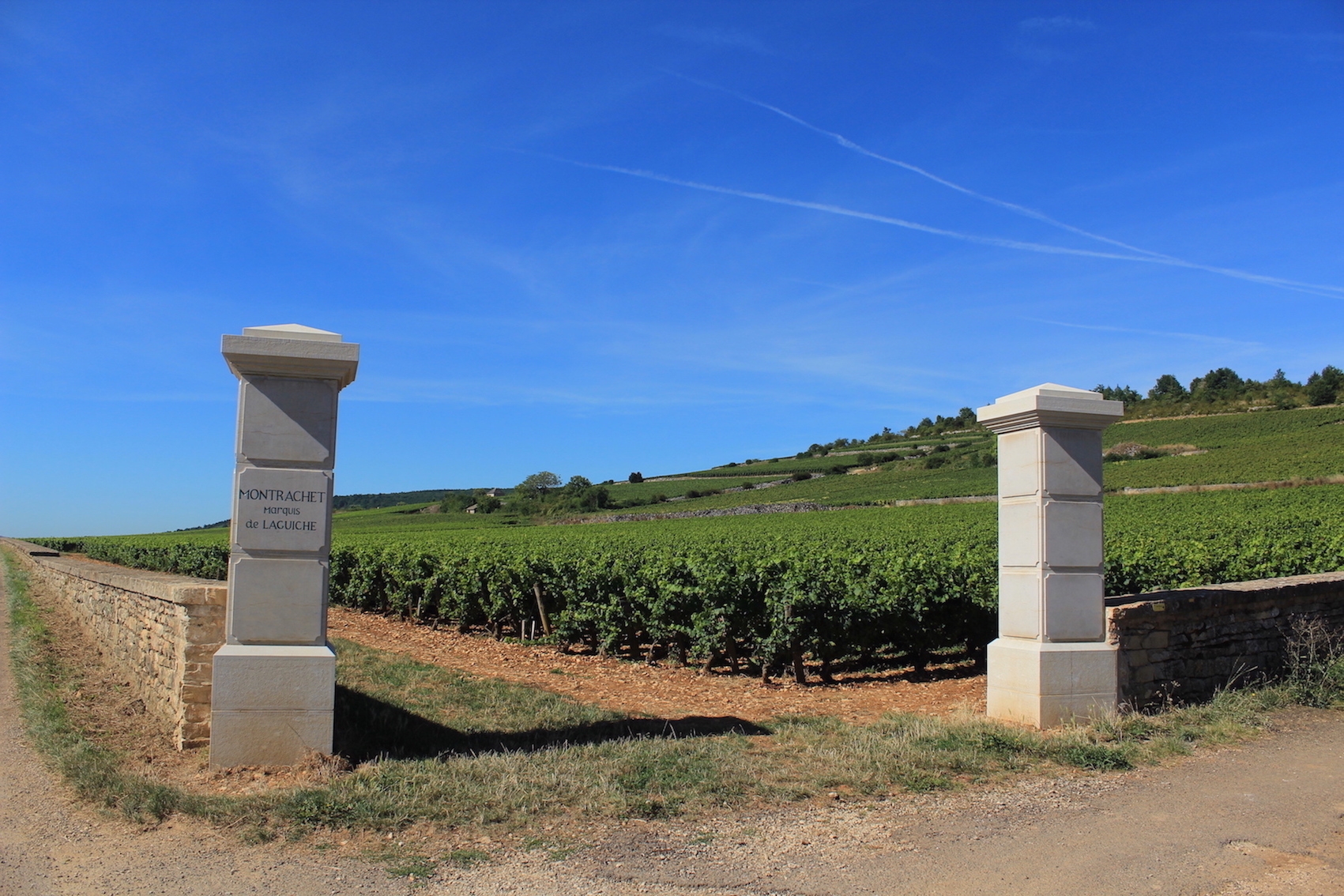 No Chardonnay day, uma Vertical de 40 safras de Motrachet, 1964-2011