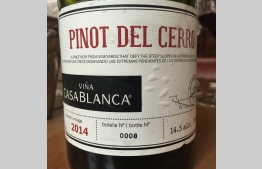 Pinot Del Cerro