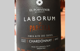 Laborum Parcela Chardonnay Finca Alto Los Cuises