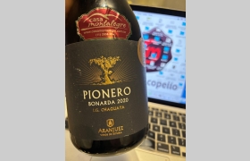 Pionero Bonarda