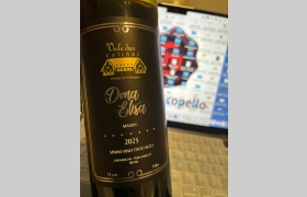 Dona Elisa Malbec