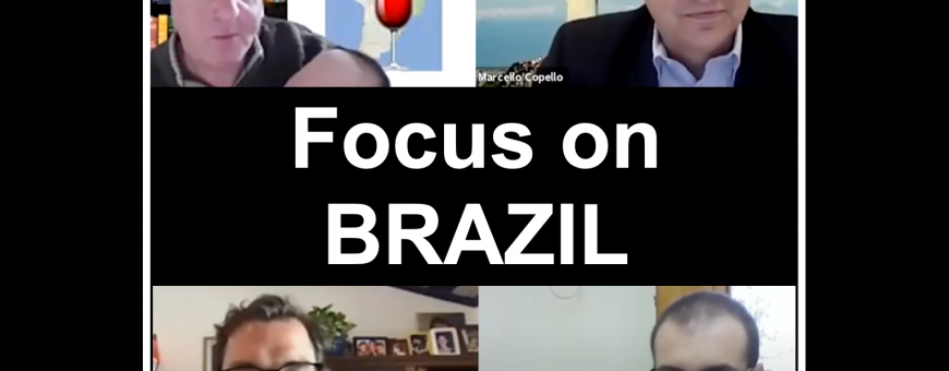 BRAZIL BRAVE NEW WORLD: and introduction to a growing market
