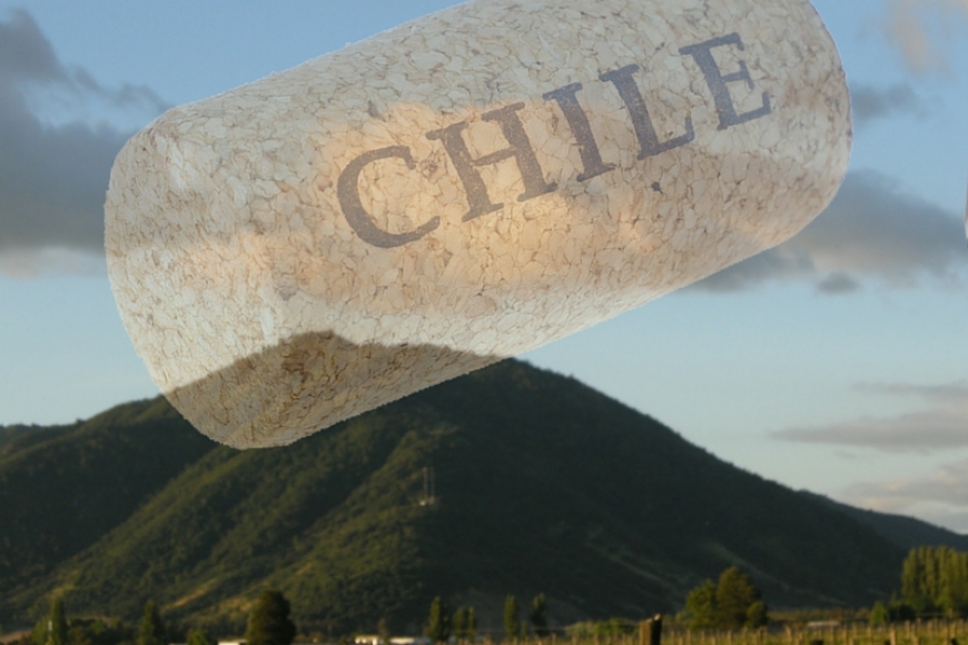 Os Maiores Brancos do Chile
