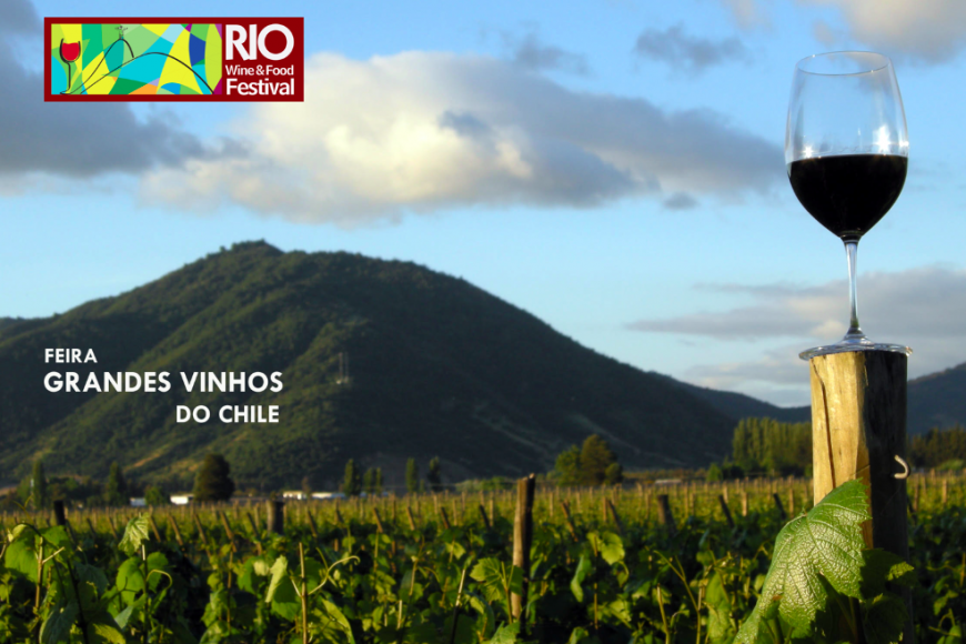 Wines of Chile aposta no RWFF como a grande e inovadora vitrine para seus vinhos