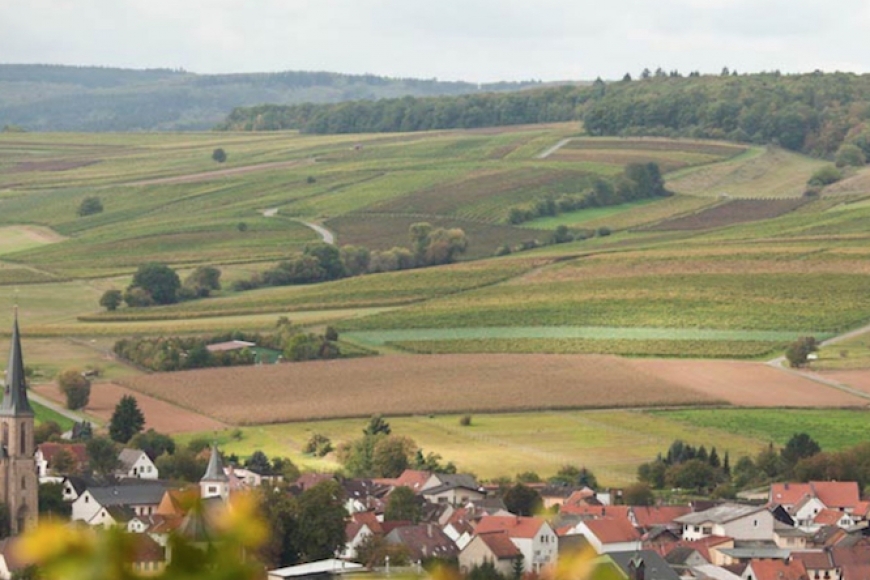 Alemanha – 7 produtores visitados, 80 vinhos avaliados