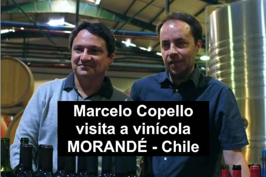 Marcelo Copello visita a vinicola MORANDÉ no Chile