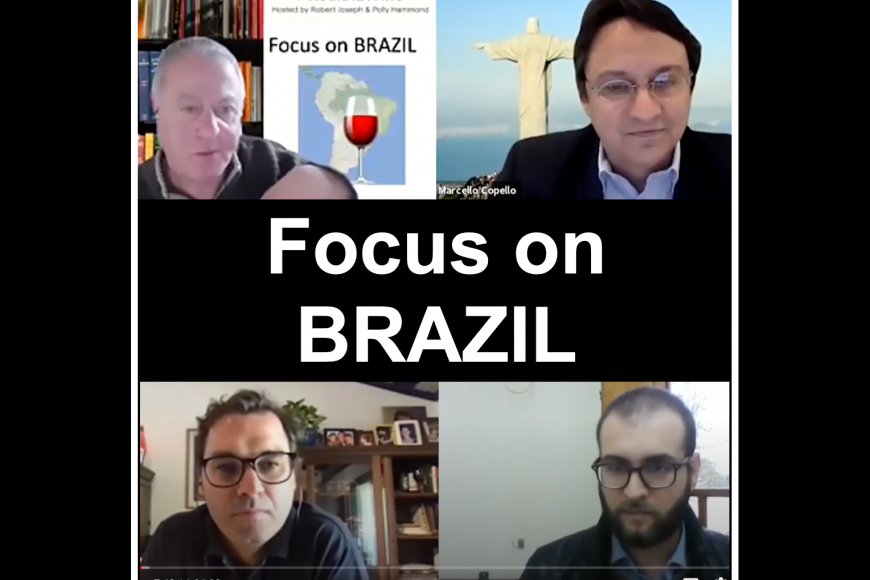 BRAZIL BRAVE NEW WORLD: and introduction to a growing market